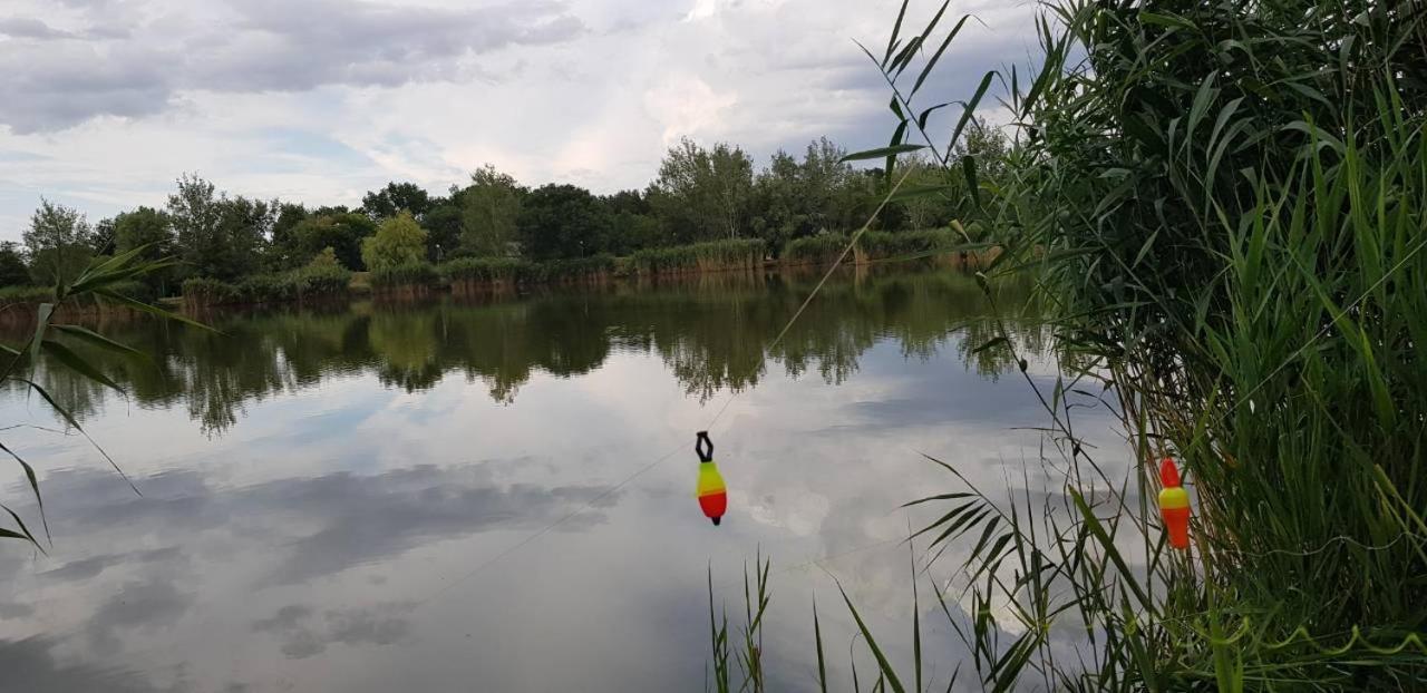 Tó úti Vendégház Mezotúr Exterior foto